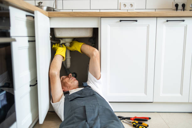 Best Drain Cleaning Services  in Dalton, PA